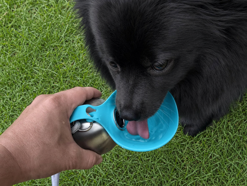 THE parkpup